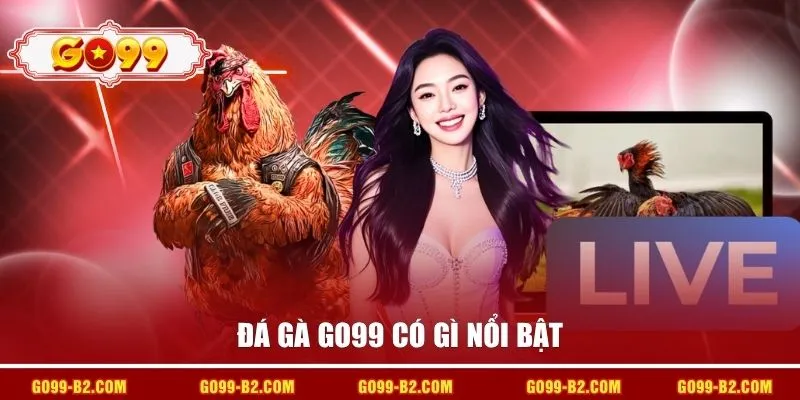 Đá gà GO99 có gì nổi bật?