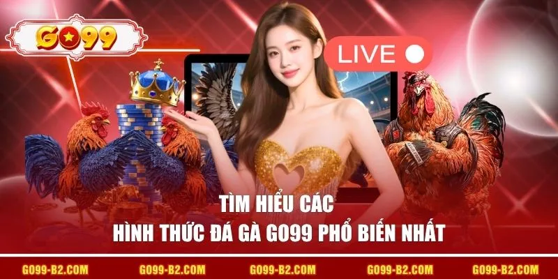 Tìm hiểu các hình thức đá gà GO99 phổ biến nhất